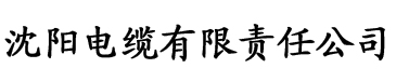 香蕉私人视频电缆厂logo